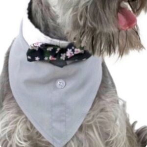 Vibrant Life Dog Bandana Costume Size Medium Large